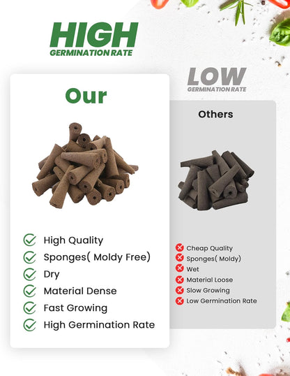 RAINPOINT 52 Pack Grow Sponges for Hydroponics - Hydroponic Sponges for Aerogarden and All Brand - with 52 PCS Grow Spongesn, 52 PCS Light-Blocking Paper, 1 PCS Tweezers