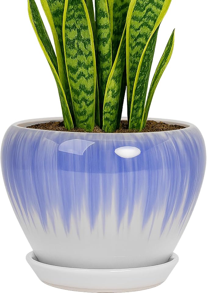 Deep Dream 8 Inch Plant Pots- Ceramic Pots for Plants with Drainage Hole and Saucer, Large Planter Pot for Indoor Plants Outdoor Decor, White&Blue