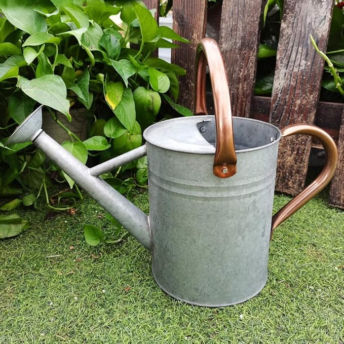 Metal Watering Can, One Gallon Watering Cans Stainless Steel for Outdoor Indoor Garden Plants Watering (Zinc 1 Gallon)