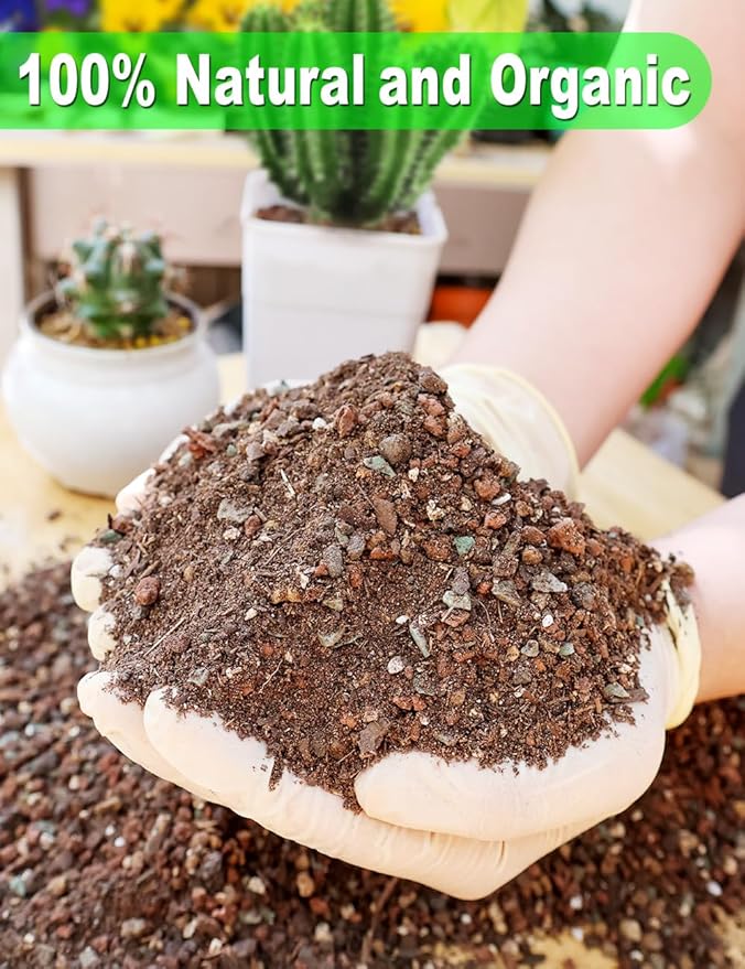 TOYPOPOR Succulent Soil, Cactus Potting Mix 12 Pounds/6QTS, High Drainage, Pre-Mixed Ready to Use for All Succulent Varieties, Indoor Plants, Bonsai, Terrarium, Houseplant, 70% Particles 30% Soil