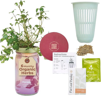 Modern Sprout Mason Garden Jar - Self-Watering Hydroponics Growing System Kit with Organic Herb Seeds - Jar Planter for Indoor Herb Garden - Seed Starter Kit - Home Decor & Gifting - Parsley
