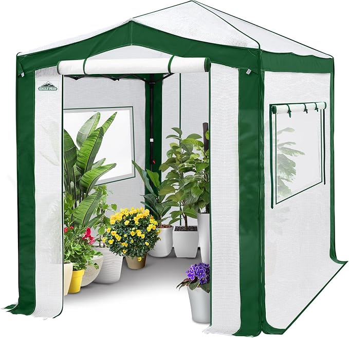 EAGLE PEAK 8x6 Portable Walk in Greenhouse with Polyester Reinforced Corners, Instant Pop Up Indoor Outdoor Gardening Green House, Roll Up Zipper Entry Doors and Mesh Windows, Green/White