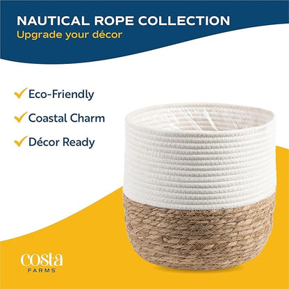 Costa Farms Majesty Palm Live Plant, Indoor and Outdoor Live Palm Tree, Potted in Premium Decor Planter, Tropical Patio, Balcony, Home Decor, Perfect House Plant Gift for Housewarming, 3-4 Feet Tall