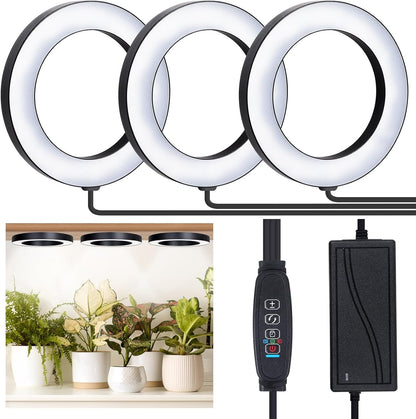 Full Spectrum Grow Light for Indoor Plants, 216 LEDs Halo Plant Light with Auto On/Off Timer (4/8/12H), 10-Level Brightness, 3 Lighting Modes, for Small Plants & Seedlings (Black, Tri Head)