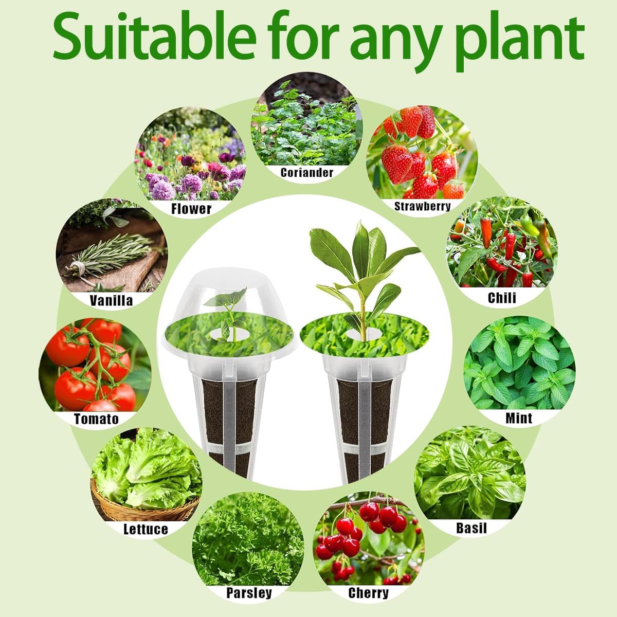 67 Seed Pod Kit for Aerogarden, Hydroponics Accessories for System Compatible with Hydroponics Supplies from All Brands, 12 Grow Sponges, 12 Grow Baskets, 12 Domes, 30 Pod Labels, 1 Tweezer (67 Pcs)