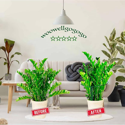 8 Pack Snake Plant Support Stakes - Rust-Proof Half Round Peony Stakes and Supports - Ideal for Hydrangeas, Dahlias, ZZ, and More - Indoor and Outdoor Potted Plant Support and Stakes