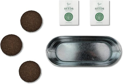 Buzzy Seeds My First Garden Kids Windowsill Grow Kit, Tomato and Marigold Seeds, Indoor Gardening Starter Set for Beginners, Fun DIY Planting Project Gift, New Home Present