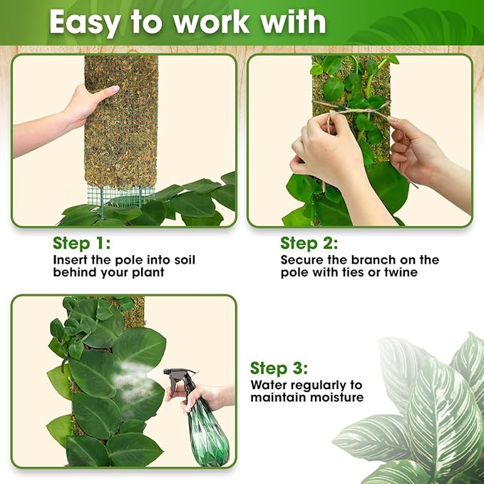 DUSPRO 59’’ Flat Mesh Moss Poles for Climbing Plants Monstera Flat Stacks for Tall Plant with Real Moss Moss Pole for Indoor Plants Plant Stick Support Tall Indoor Plants Support Stakes (1pc., 59'')