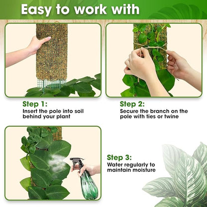 DUSPRO 59’’ Flat Mesh Moss Poles for Climbing Plants Monstera Flat Stacks for Tall Plant with Real Moss Moss Pole for Indoor Plants Plant Stick Support Tall Indoor Plants Support Stakes (1pc., 59'')