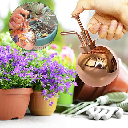 Stainless Steel Plant Sprayer, Small Watering Can Plant Misting Bottle, Modern Gardening Tools for Indoor Potted Plants Watering and Misting