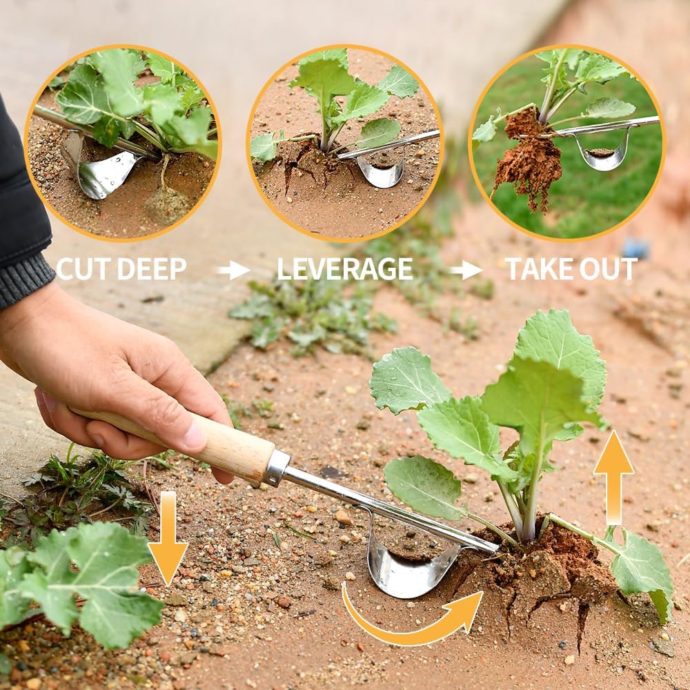 Weed Puller Tool, 3 Pack 2025 New Garden Stainless Steel Weeder Tool Hand Weeder Tool,Multi-Purpose Weed Remover Tool Weeding Tools for Gardening(Wooden Handle)