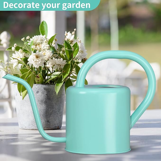 Watering Can, Stainless Steel Watering Can for Indoor & Outdoor Plants, 1L/35oz Long Spout Water Can with Handle, Rust-Proof Plant Watering Pot for House Plants, Garden Flowers