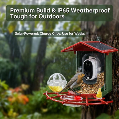 Smart Bird Feeder with Camera, 2K HD, Auto AI Identify 10000+ Birds, Solar-Powered, Night Vision, Real-Time Alerts, Family/Friend Sharing, Gift for Family and Bird Lovers