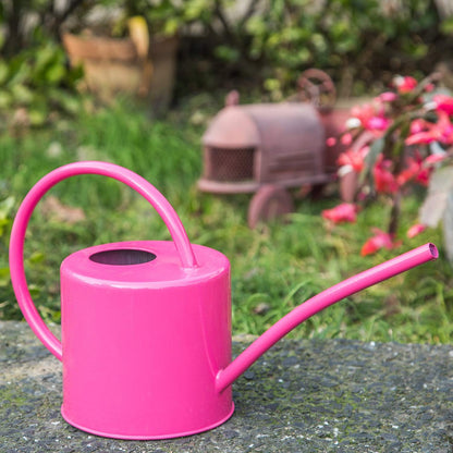 Metal Watering Can 51 Ounce Modern Style Watering Pot with Handle and Long Spout, Rose