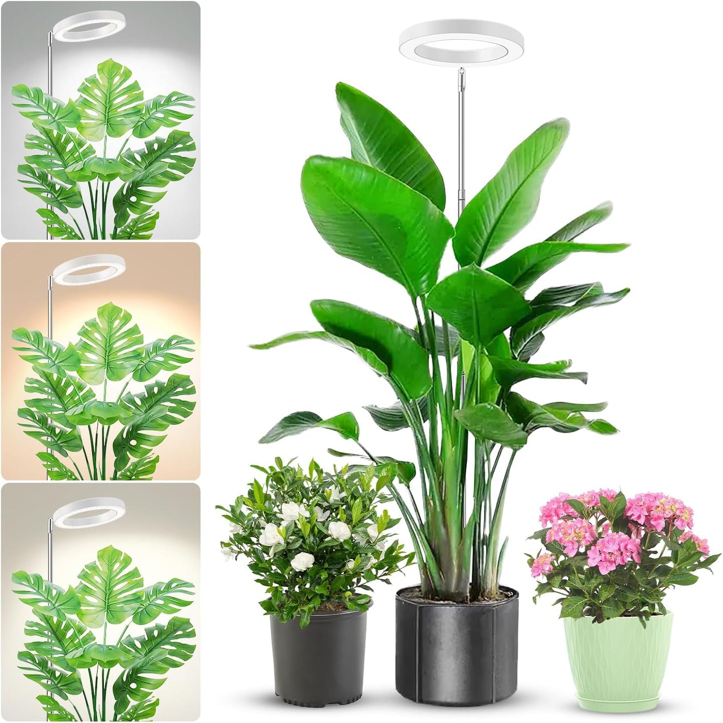 Grow Light, 80 LEDs Full Spectrum Plant Light for Indoor Plants, Height Adjustable 10"-65" Growing Lamp with Auto Timer for 6/12/16Hrs,3 Optional Spectrums,5 Brightness, 1 Pack