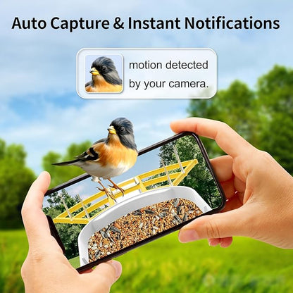 Smart Bird Feeder with Camera, AI Identify Birds Breed, Solar-Powered WiFi FHD 2K Live Camera, Auto Capture Backyard Garden Bird Watching, Motion Detection, Cloud and SD Card Storage,Yellow