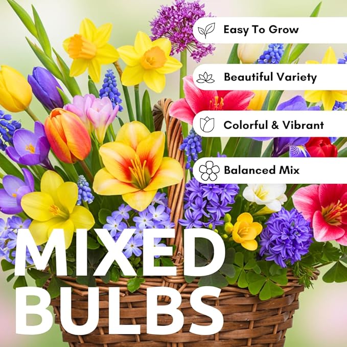 Complete Spring and Fall Flower Garden | 50 Fresh Bulbs | Bloom All Spring and Summer, Easy to Grow Flower Bulb, Indoor/Outdoor