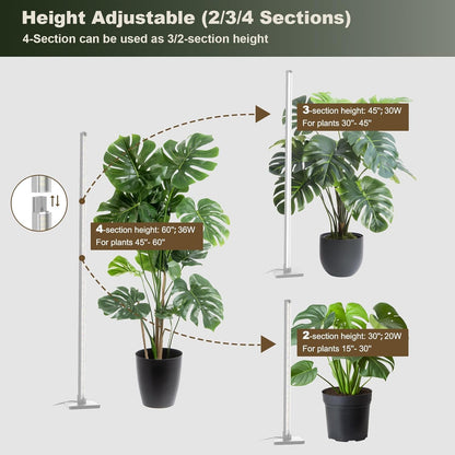 GLOWRIUM Grow Lights for Indoor Plants, 36W Vertical Plant Grow Lights with Auto-Timer, Full Spectrum LED Standing Plant Grow Light, 3 Light Modes, 6-Level Dimmable (60 in(Silver))