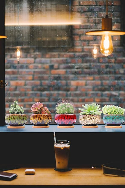 Cute Ceramic Succulent Garden Pots, Planter with Drainage and Attached Saucer, Set of 5 -Plants Not Included (Round)