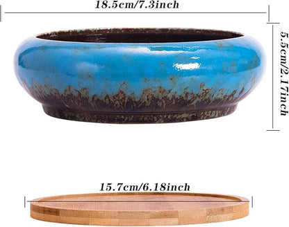 ARTKETTY Succulent Pots - Large Succulent Planters with Drainage, 7.3 Inch Ceramic Bonsai Pots with Bamboo Tray Set of 2, Shallow Cactus Flower Planter Bowl for Indoor