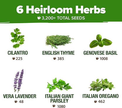HOME GROWN 6 Herb Seeds for Planting 3,200+ Non-GMO Heirloom Seeds | Extra Large Variety Pack Herb Kit – Indoor Outdoor & Hydroponic | Culinary Seed Set | Grow Your Own Herbs | Gift for Beginners