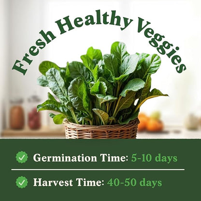 Seedboy Organic Spinach Seeds for Indoor Gardening or Planting Outdoors, Non-GMO and USDA Certified Vegetable Seed Packets, 350 Seeds/4 Grams (Bloomsdale Spinach)