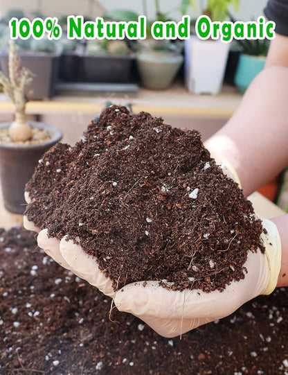 TOYPOPOR Potting Soil for All Indoor Houseplants, Contains Perlite, Peat Moss, Coco Coir and Rice Charcoal, Well Draining Potting Mix Light, Aerated Texture for Healthy Plant Roots and Fast Growth 1qt