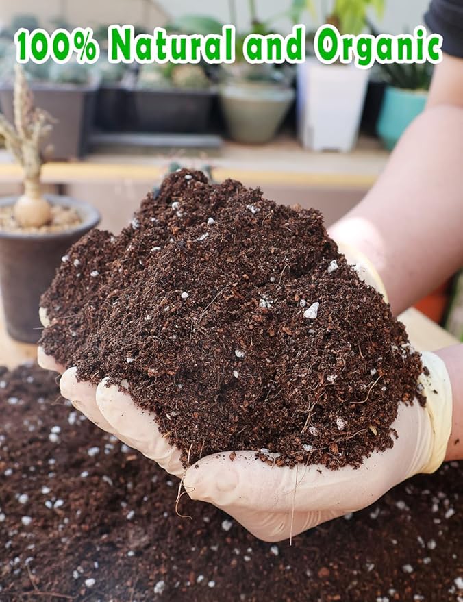 TOYPOPOR Potting Soil for All Indoor Houseplants, (6qt) Contains Perlite, Peat Moss, Coco Coir, Rice Charcoal, Well Draining Potting Mix Light, Aerated Texture for Healthy Plant Roots, Fast Growth