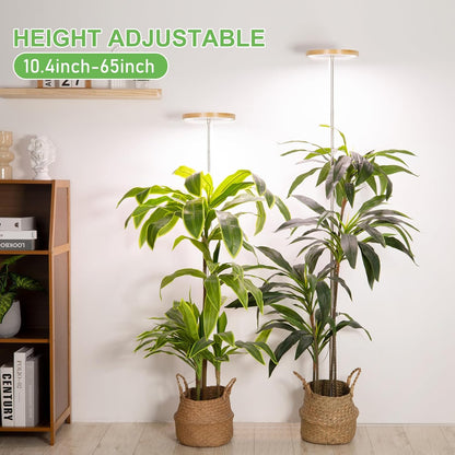 LORDEM Bamboo Grow Light, Full Spectrum LED Plant Grow Light, Height Adjustable Growing Lamp with Auto Timer 4H/8H/12H, 4 Dimmable Levels, Ideal for Large Tall Plants