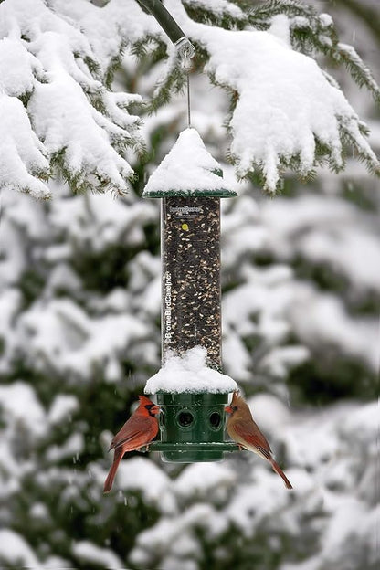 Squirrel Buster Plus Squirrel-proof Bird Feeder w/Cardinal Ring and 6 Feeding Ports, 5.1-pound Seed Capacity, Adjustable, Pole-mountable (POLE ADAPTOR SOLD SEPARATELY), Green