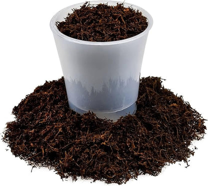 Premium New Zealand Tree Fern by GARDENERA - 10 Quart - Orchid and Epiphytal Plants Growing Medium and Reptile Substrate (2 Bags of 5 Quart)