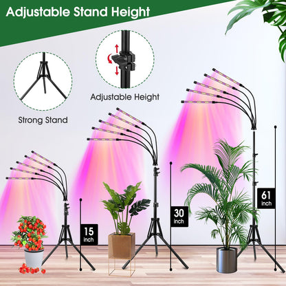 Wolezek Grow Lights for Indoor Plants, 2 Pack Full Spectrum Plant Light with Adjustable Stand, 5-Head LED Grow Light with Auto 6/12/16H Timer, 5 Brightness Levels, Ideal for Large & Tall Plants