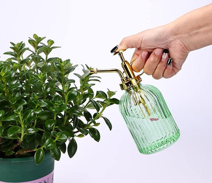 Glass Plant Mister Spray Bottle, 7.5" Green Glass Water Spray Bottle with Gold Top Pump Small Watering Can, Small Plant Sprayer Mister for Indoor Outdoor House,(Green+Gold E)