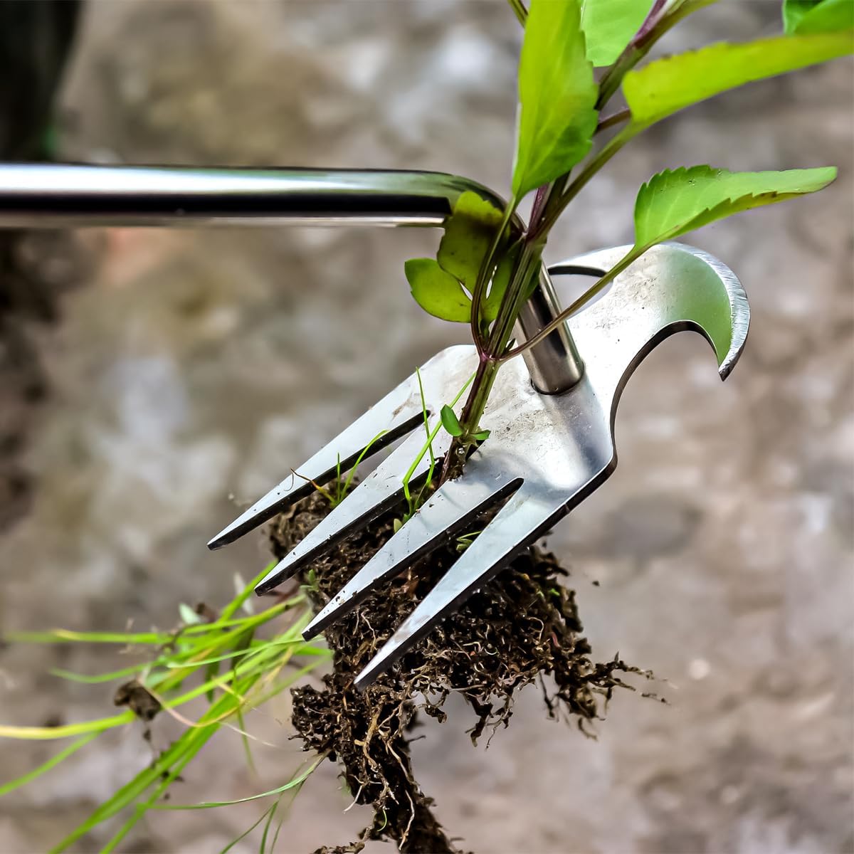 3 Pack Stainless Steel Weeder Puller Tool,Patio Crack Weeder for Cracks,Pavers,Driveways,Moss Removal,Crevice Weeding Digger Tool,Uprooting Weeding Tool for Planting,Weeding