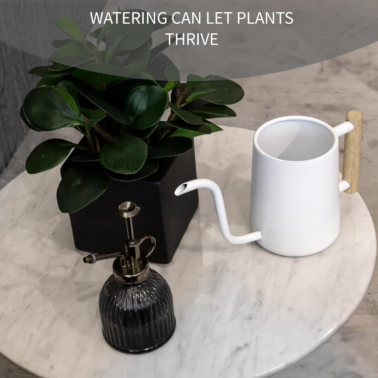 Watering can Indoor Plants,Indoor Watering Can for Plant,35 oz/1000 ml Stainless Steel Watering can Long Spout with Small Vintage Glass Plant Spray Bottle(White)