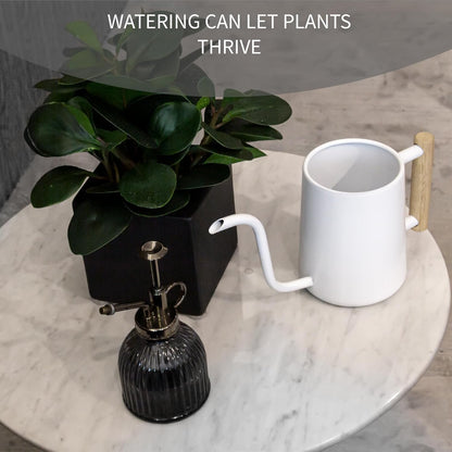 Watering can Indoor Plants,Indoor Watering Can for Plant,35 oz/1000 ml Stainless Steel Watering can Long Spout with Small Vintage Glass Plant Spray Bottle(White)