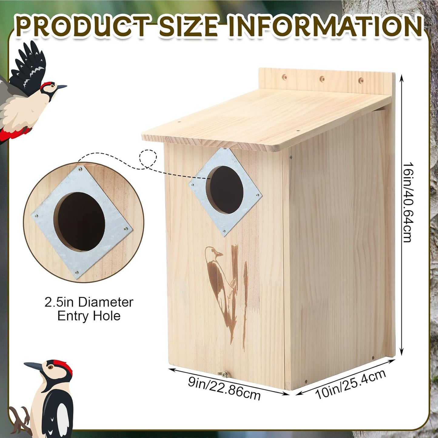 Outdoor Bluebird Weather Resistant Natural Cedar Nesting Box Bird House Easy Open Latch, and Metal Roof