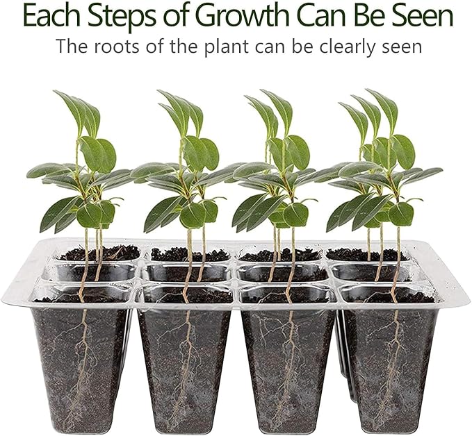 Seed Starter Tray, 12 Set Seedling Kits with Adjustable Humidity Dome, Plant Starter Kit for Seeds Growing Starting (12 Cells per Tray)