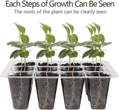 Seed Starter Tray, 12 Set Seedling Kits with Adjustable Humidity Dome, Plant Starter Kit for Seeds Growing Starting (12 Cells per Tray)