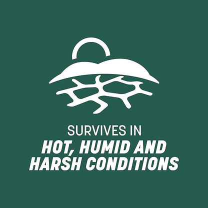 Pennington Smart Seed Sun and Shade Tall Fescue Grass Seed Mix for Southern Lawns 7 lb