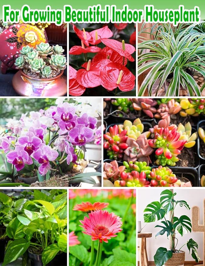 TOYPOPOR Perlite for Plants, (3qt) 3-6mm Organic Perlite for Gardening, Perlite for Plants Indoor, Soil Additive Conditioner Mix Improve Drainage and Ventilation Promote Root Growth and Soil Health