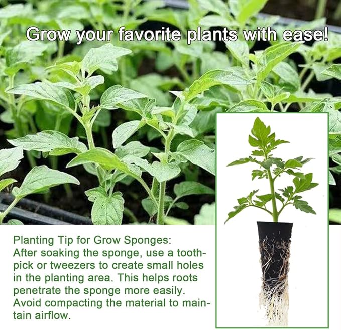 50 Pack Hydroponic Grow Sponges Seed Pods Replacement, Growing System Plant for Seed Plugs Garden Cube Sponges Replacement,Compatible with Aerogarden & Most Hydroponic System,1pc Tweezer