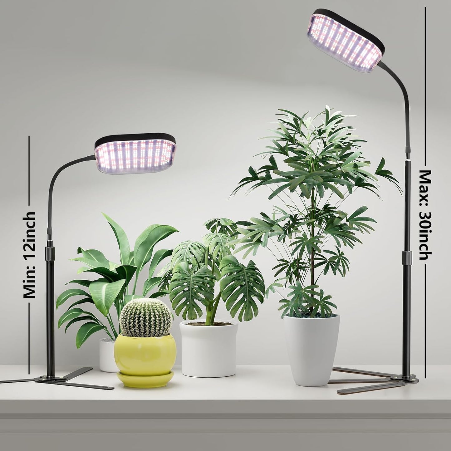 Super-Bright Grow Light 100W 336LEDs, 6000K White Full Spectrum Plant Growing Lamp for Home Office Indoor Plants,Adjustable Height & Auto Timer 4 8 12Hrs, 12V 3A High Power Output for Faster Growth