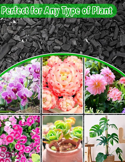 TOYPOPOR Horticultural Charcoal for Indoor Plants (10 Quarts) Hardwood Potting Soil Amendment Helps Improve Drainage for Orchids, Succulent, Cactus, Terrariums, and Gardening