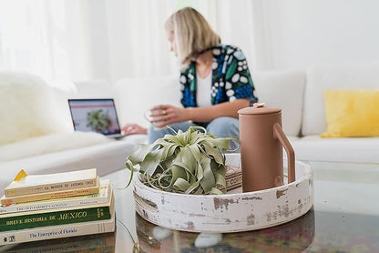 3 Pack Large Xerographica Air Plants 5 to 7 Inch Wide-Air Plants Live Tillandsia Succulent House Plants Holders-Available in Wholesale and Bulk-Home and Garden Decor-Easy Care Indoor Outdoor(