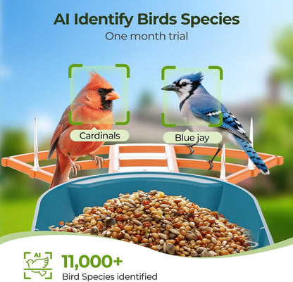 Smart Bird Feeder with Camera Solar Powered for Outside Birdhouse with Camera, AI Identify Birds Species, FHD Live Video, Instant Arrival Alerts, Ideal Gift for Bird Lovers or Family