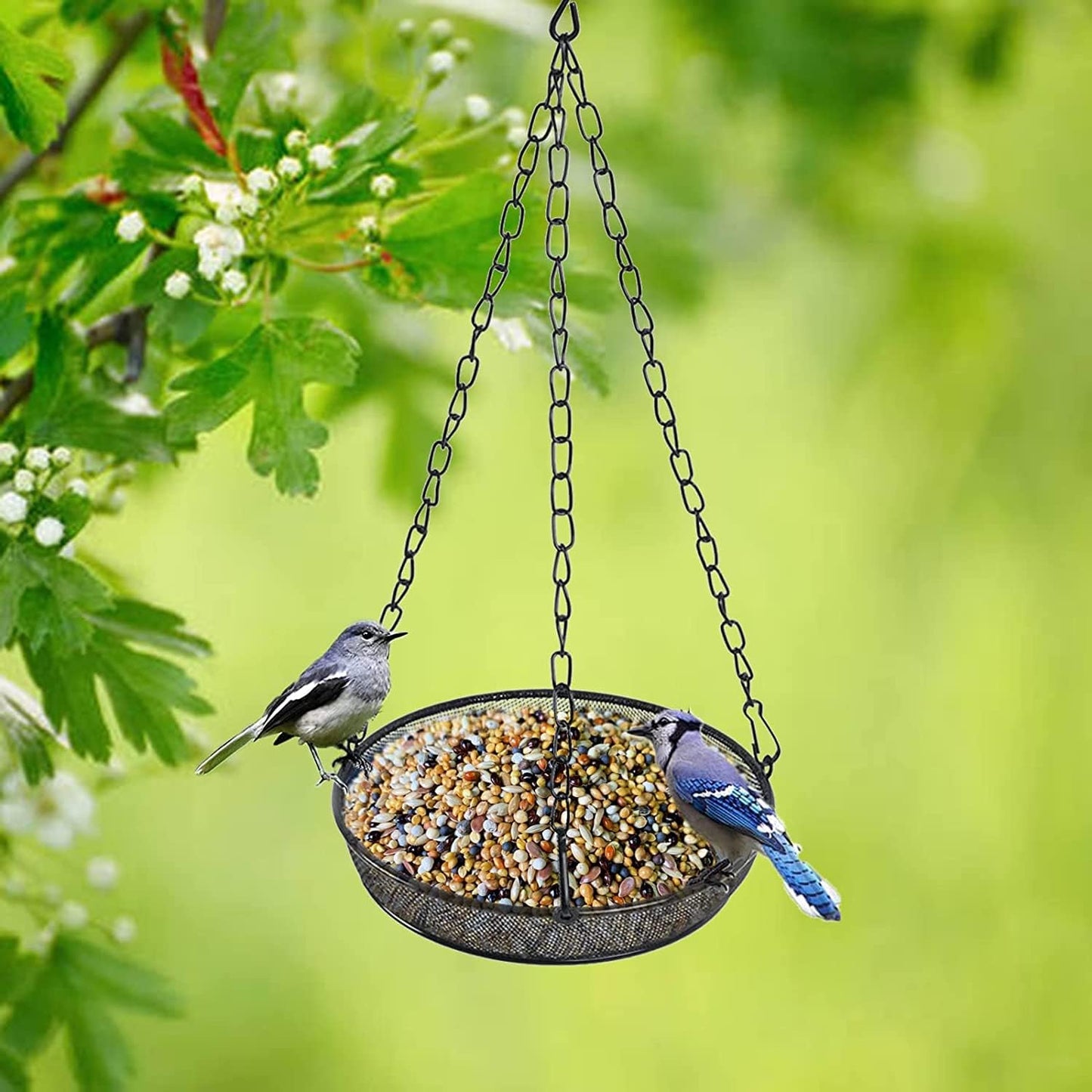 Hanging Bird Feeder, Birdfeeder Hanging for Garden Yard Outside, Hanging Birdfeeder Tray - Metal Mesh Platform Feeders for Birds Outside Outdoors Hanging for Attracting Birds - 3 Pack