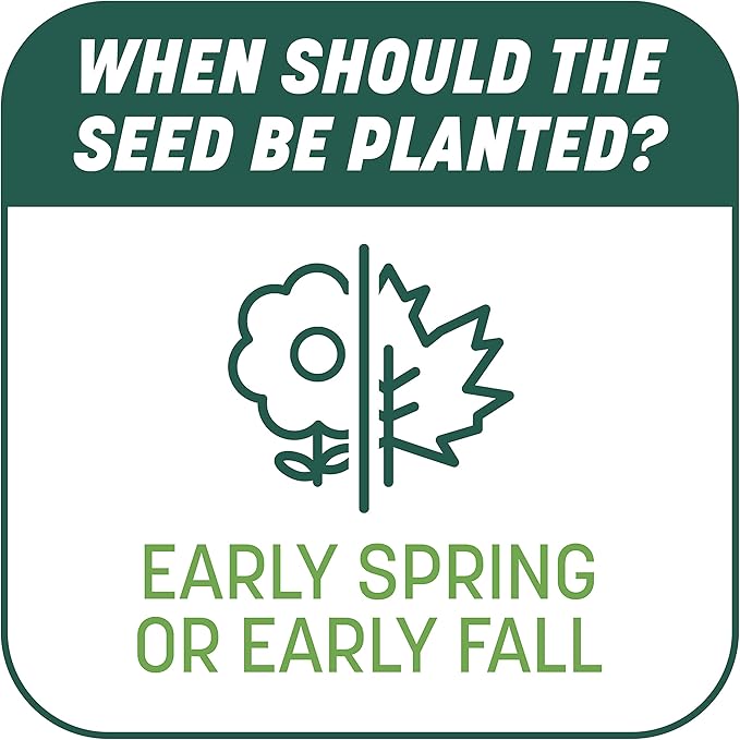 Penn Smart Patch S&S N