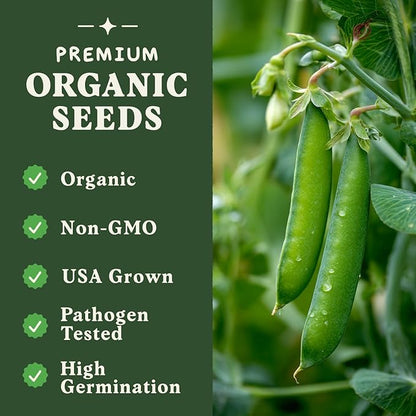 Seedboy Organic Sugar Snap Pea Seeds for Planting Indoor and Outdoor, Non-GMO and USDA Certified Vegetable Seed Packet for Hydroponic Garden Indoor or Planting Outdoors (Sugar Snap Peas)