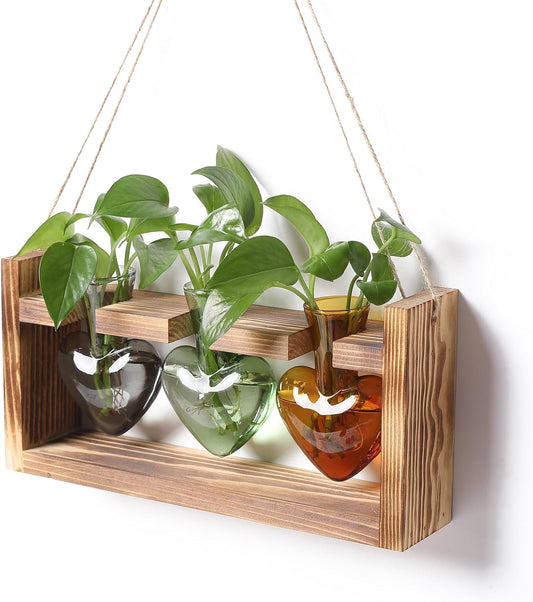 Plant Terrarium Propagation Stations Hydroponics Home Garden Decoration Gift for Women with Wooden Stand Heart Shaped Colored Glass Vase